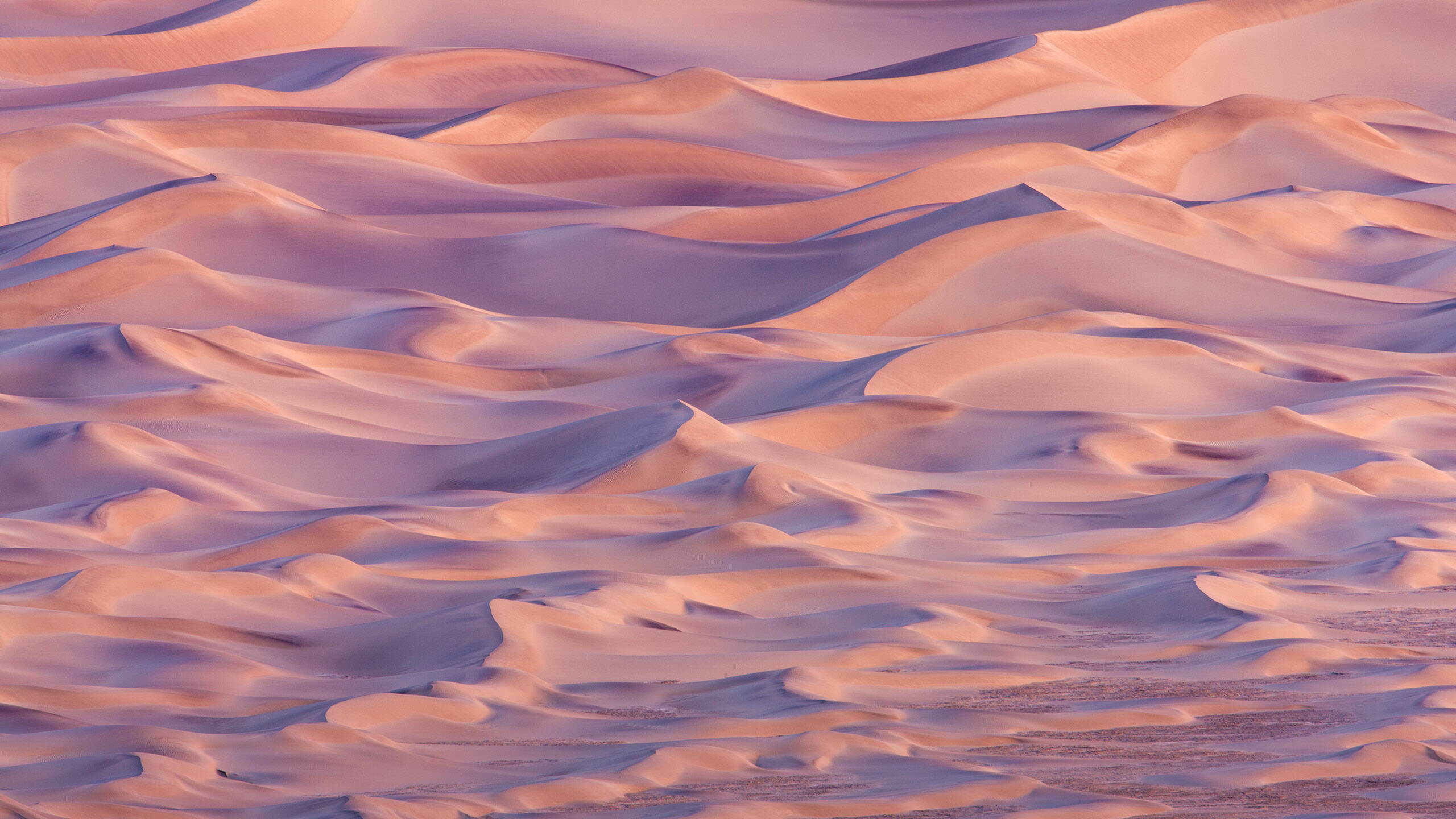 desert.jpg