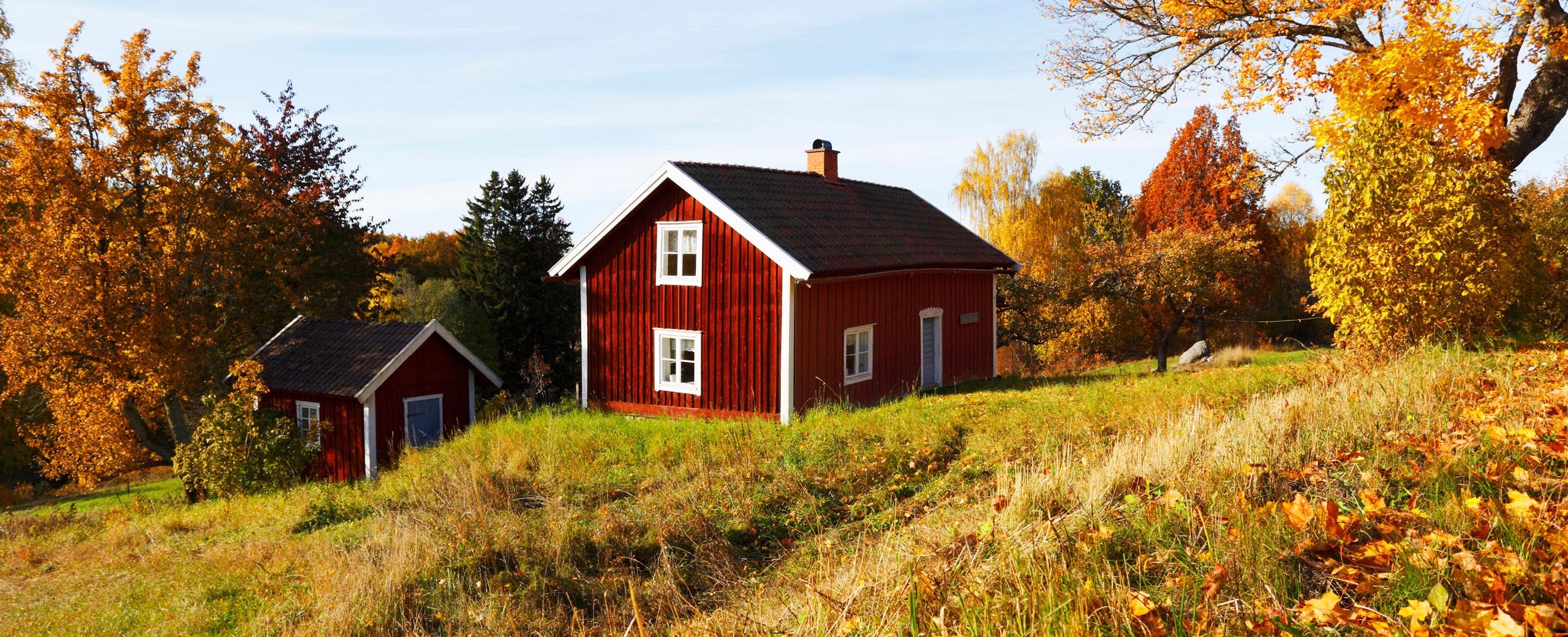 Schwedenofen von Alpinofen