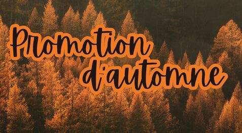 Simulation de feu